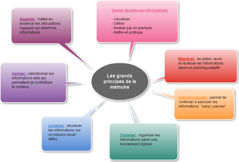 Fiche Méthode Les Grands Principes De La Mémoire Donnez Du Sens à